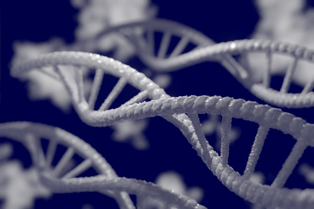 MIT laboratory researchers working with DNA synthesis equipment and data analysis computers